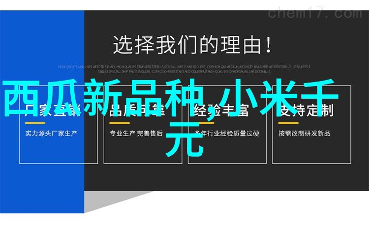 宁波城市职业技术学院智慧教育引领未来技能发展