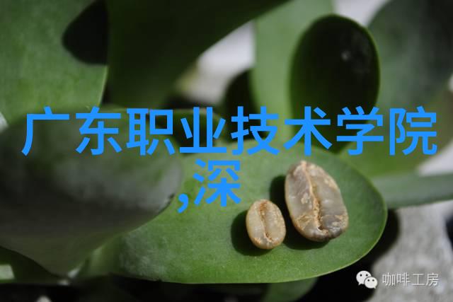 为了提高代码质量我们应该在哪里使用单元测试集成测试等技术