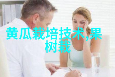 北京软件评测中心确保信息技术产品质量的重要枢纽