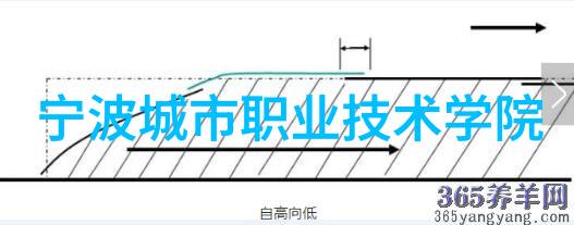 上海机器人产业的佼佼者探索当红公司的创新之路