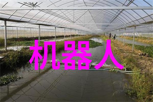 人物采风第十八届智能化技术创新高峰论坛社会实践探索智能化学会动态讨论影响力