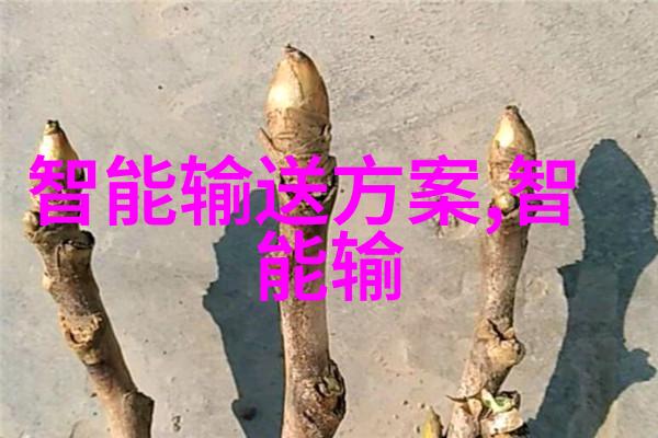 宠物健康管理选择适合的药品保证小朋友们的福祉