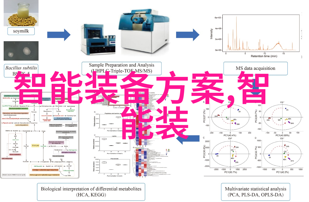 内蒙古财经大学-草原财富之都探索内蒙古财经大学的学术与发展