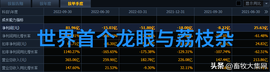 士官述职报告部队背后的故事和未来的展望