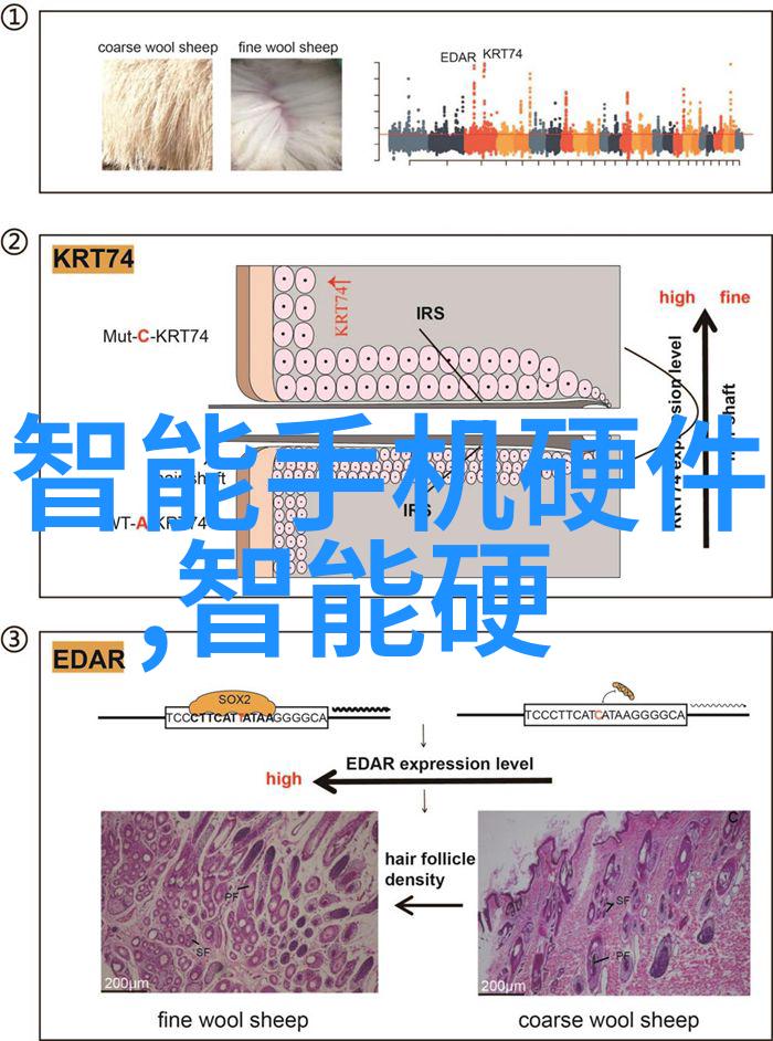 智能穿戴设备软件测试关键技术与挑战