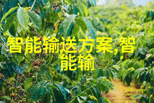 华为运动健康手表app支持哪些智能健身模式