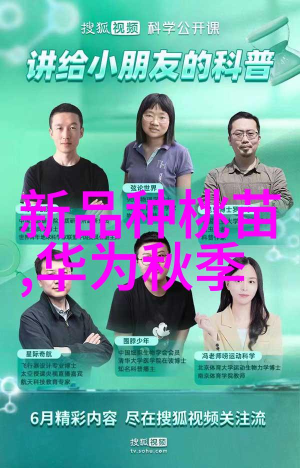 网络安全防护体系评估机构