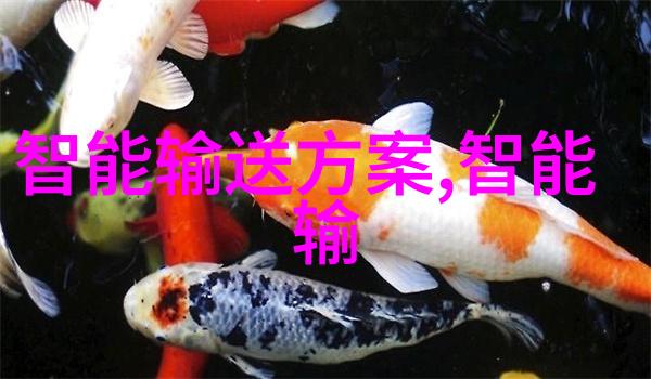 信息安全测评中心守护数字世界的坚强防线