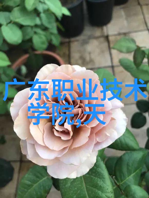 中铝智能工厂铸就绿色智造新篇章